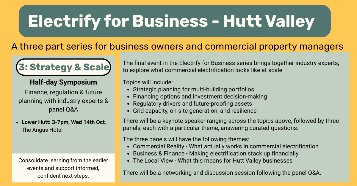 Electrify for Business 3 - Strategy & Scale